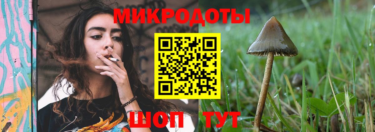 Галлюциногенные грибы GOLDEN TEACHER  Вход с VPN  Скопин 